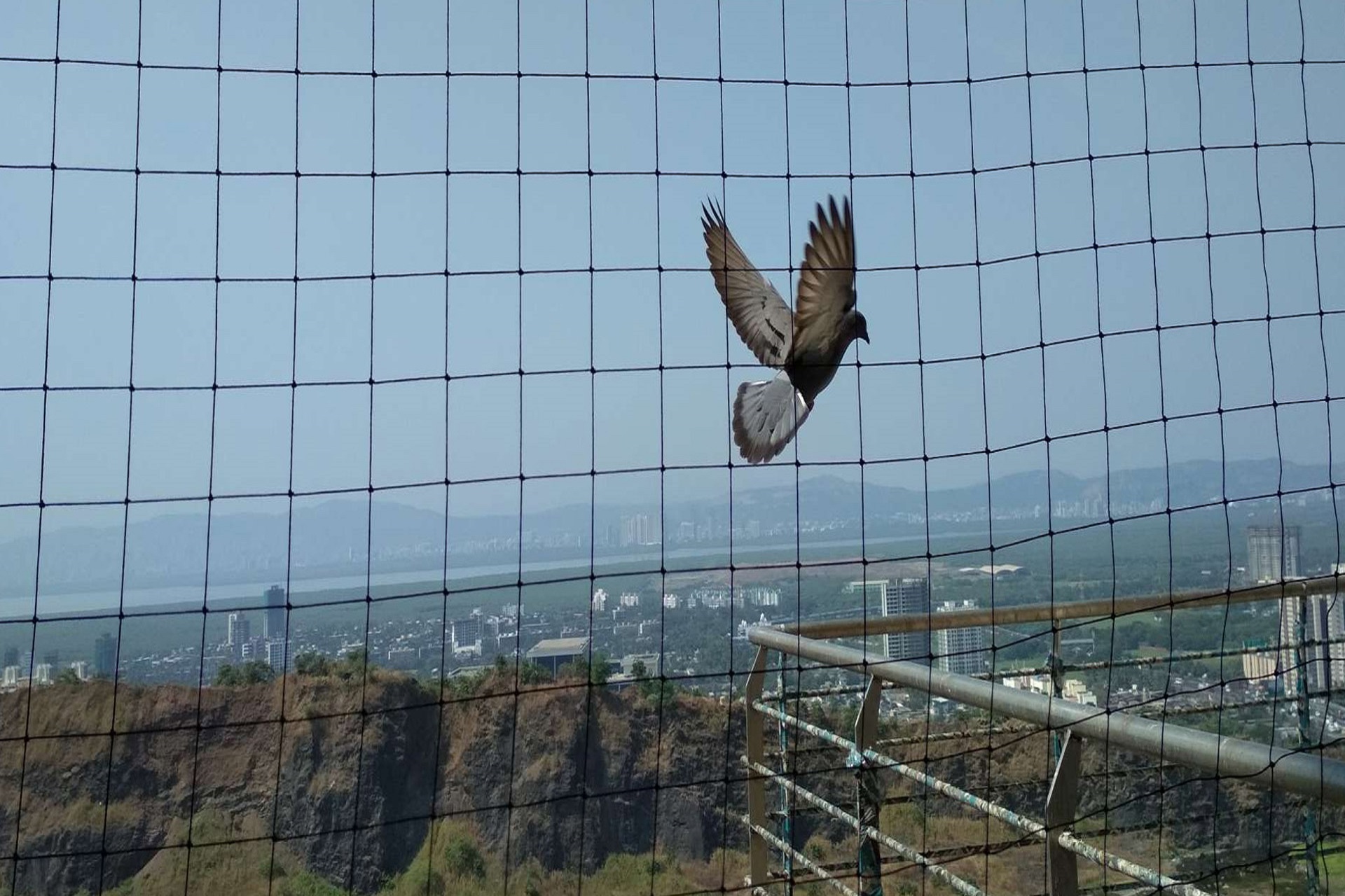 Bird Netting Service - Bird Net For Balcony | Om Sai Bird Netting Service